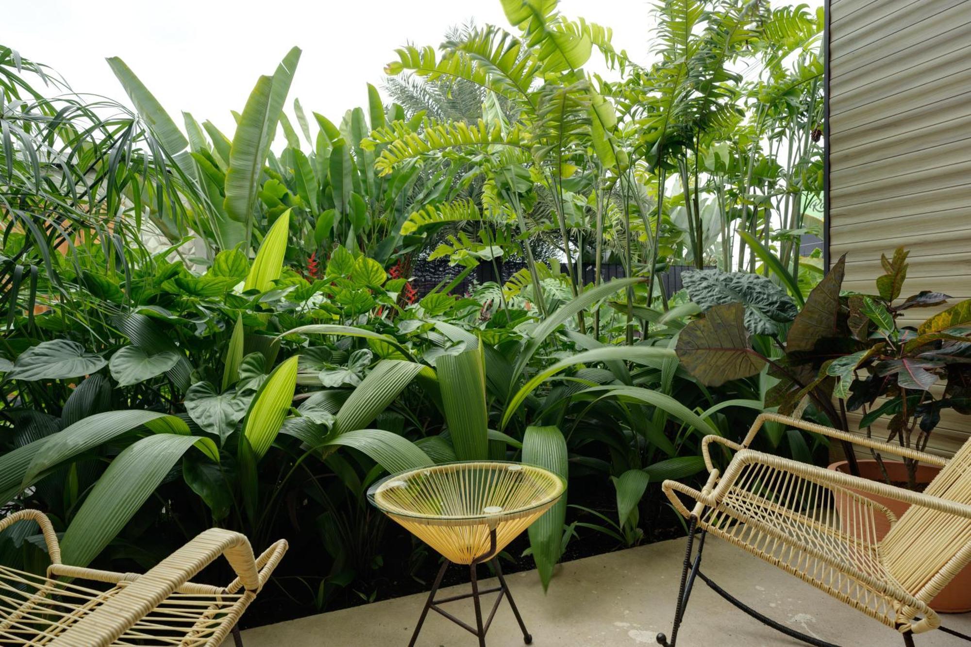 Suwa Villa Arenal ラ・フォルトゥナ エクステリア 写真